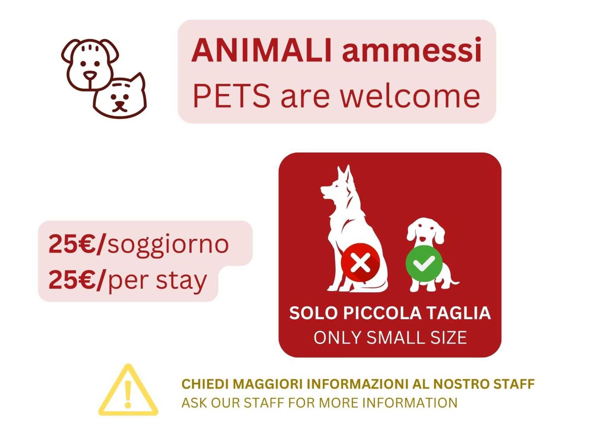 Caseospitali - Caramelli, Bilocale Per 3 In Corte In Centro Storico *